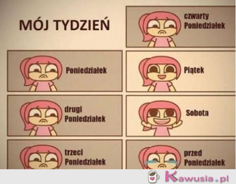 Mój tydzień