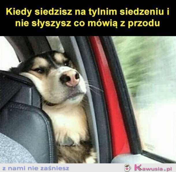 No mówcie głośniej
