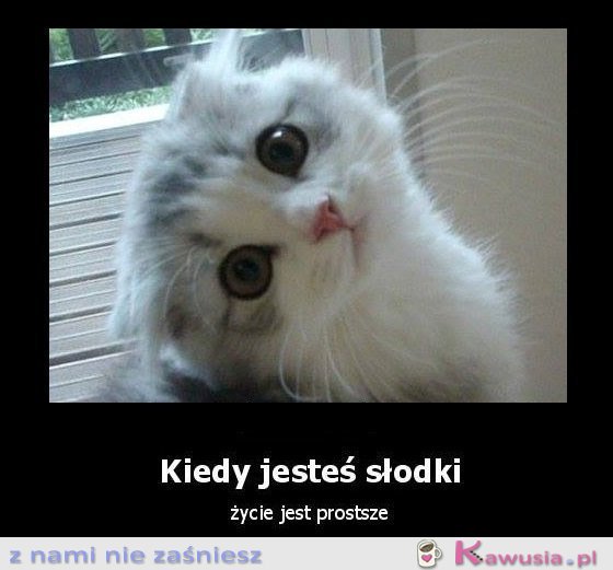 Kiedy jesteś słodki