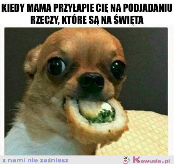 Tylko pr&oacute;bowałam czy dobre