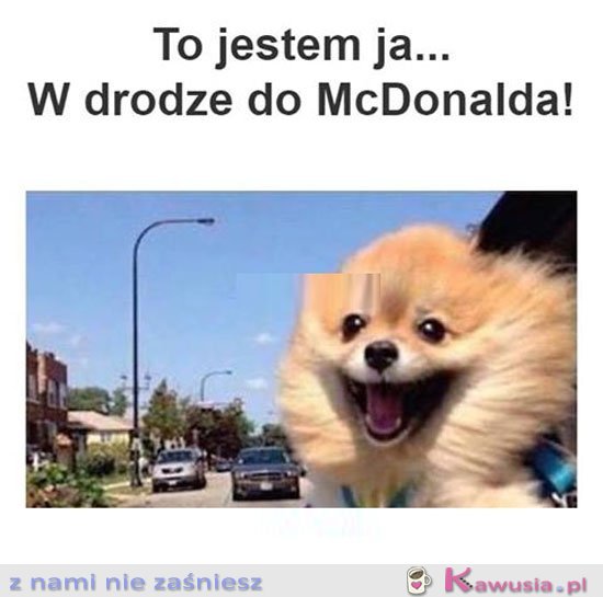 Ja w drodze do maka 