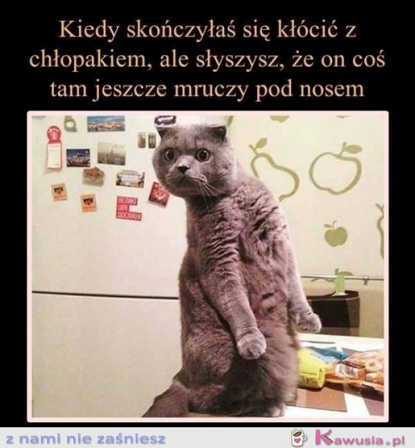 Koniec, powiedziałam koniec