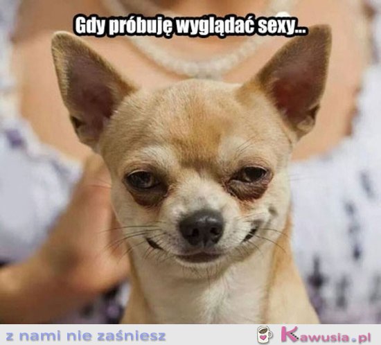 Coś poszło nie tak...