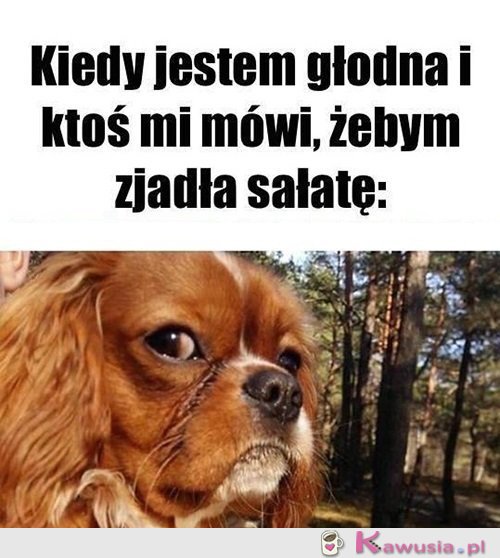 Żartujesz?