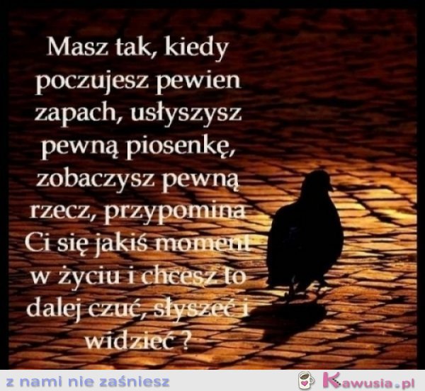 Pewien zapach, pewna piosenka..