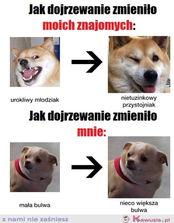 JAK DOJRZEWANIE ZMIENIA