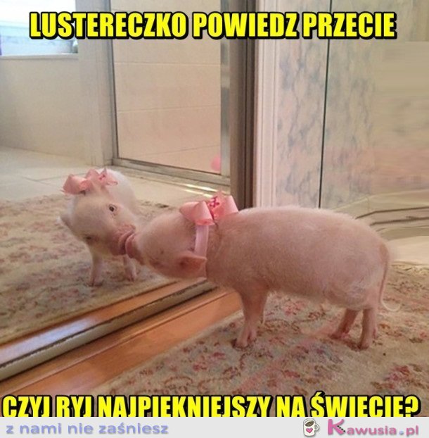 LUSTERECZKO POWIEDZ PRZECIE