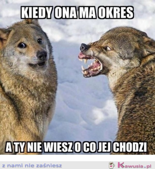 Domyśl się...