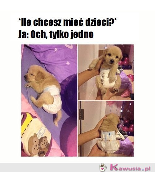 Ile chcesz mieć dzieci?