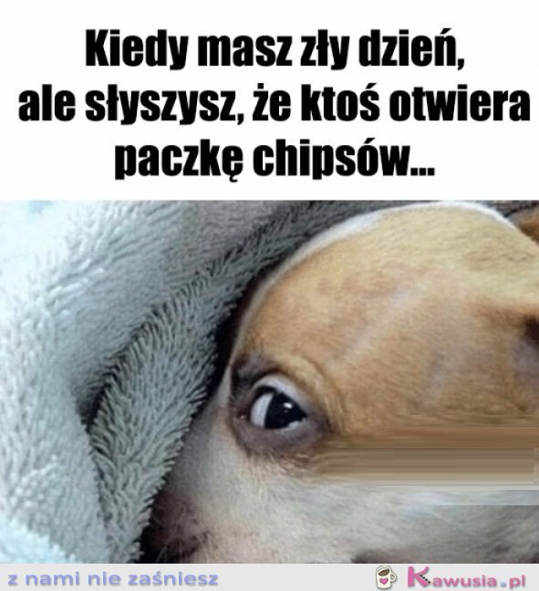 Może nie wszystko stracone...