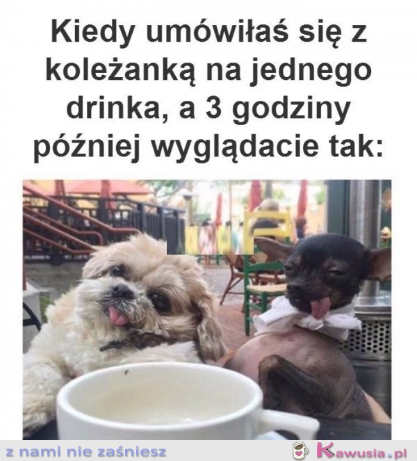 Kochana tylko jeden drink