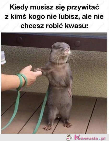 Nie będę robić kwasu