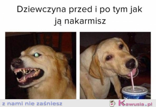 Dziewczyna po tym jak ją nakarmisz