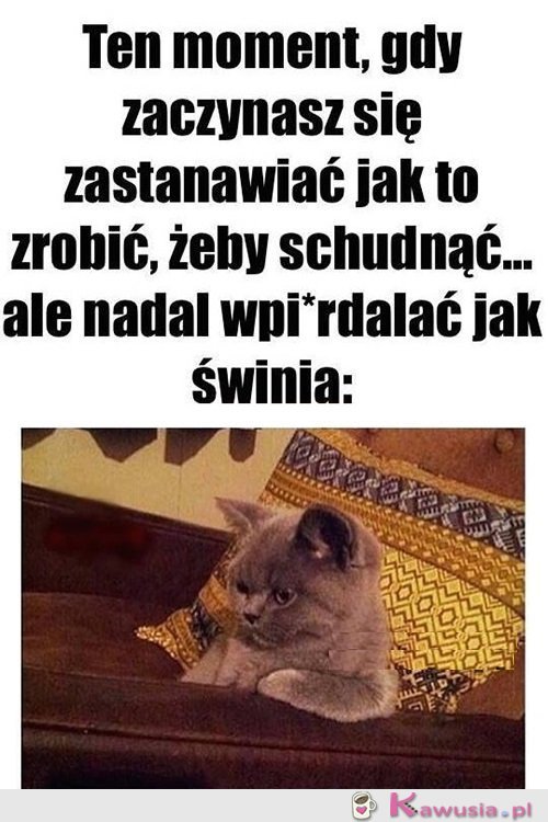 Oto jest pytanie...