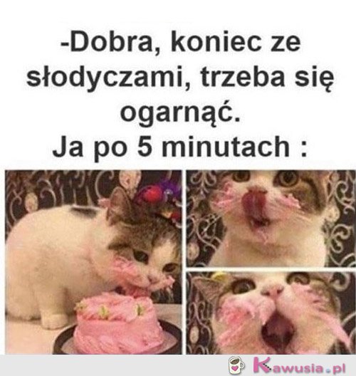 Od nowego roku zaczynam