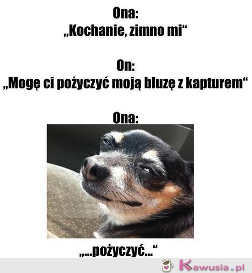 Już jej nie odzyskasz...