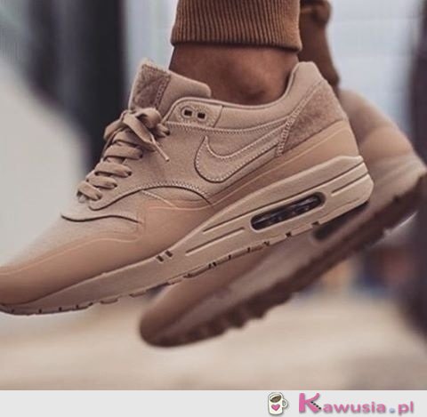 Camel air max