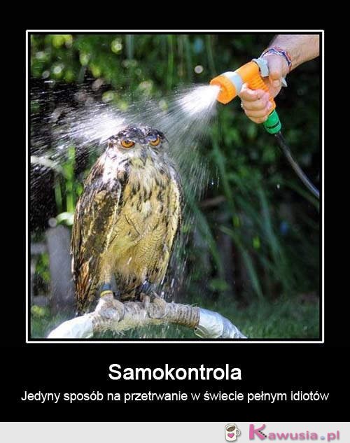 Samokontrola