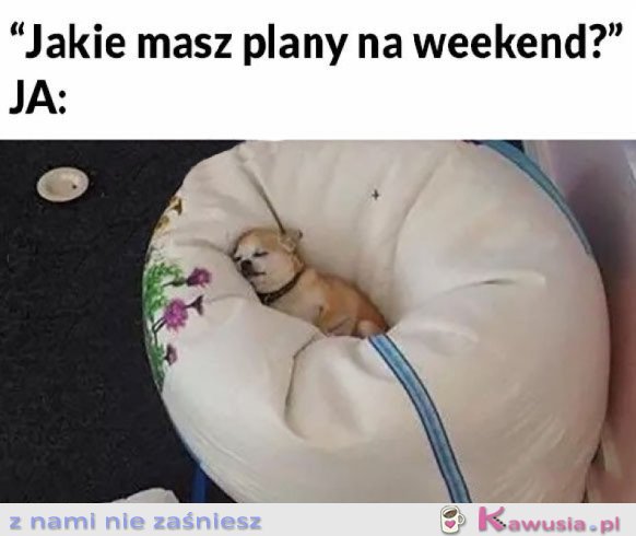 MOJE PLANY NA WEEKEND