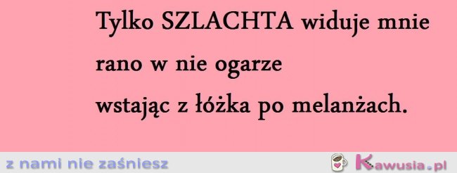 Tylko szlachta...