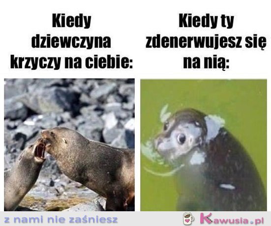 Ale co się stało...