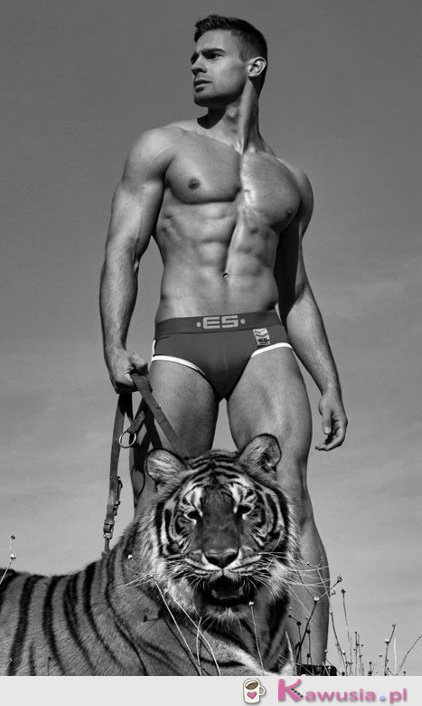 Przystojniak z tygrysem