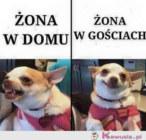 Żona w domu i w gościach