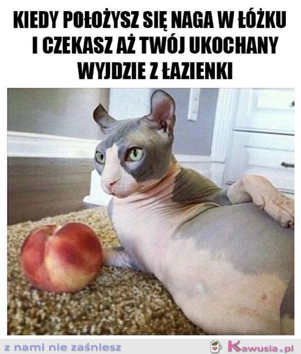 JESTEM GOTOWA