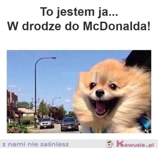Ja w drodze do maka