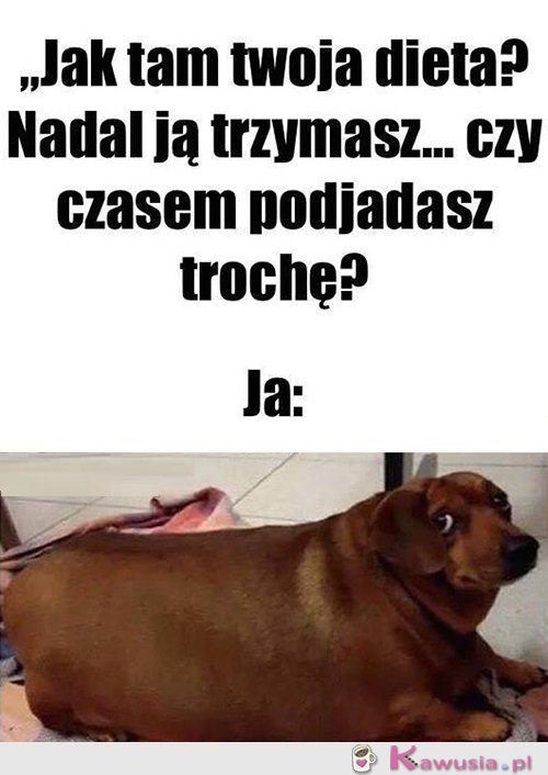 Żartujesz?