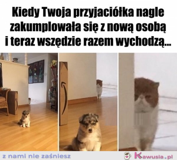 Jeszcze zobaczymy...