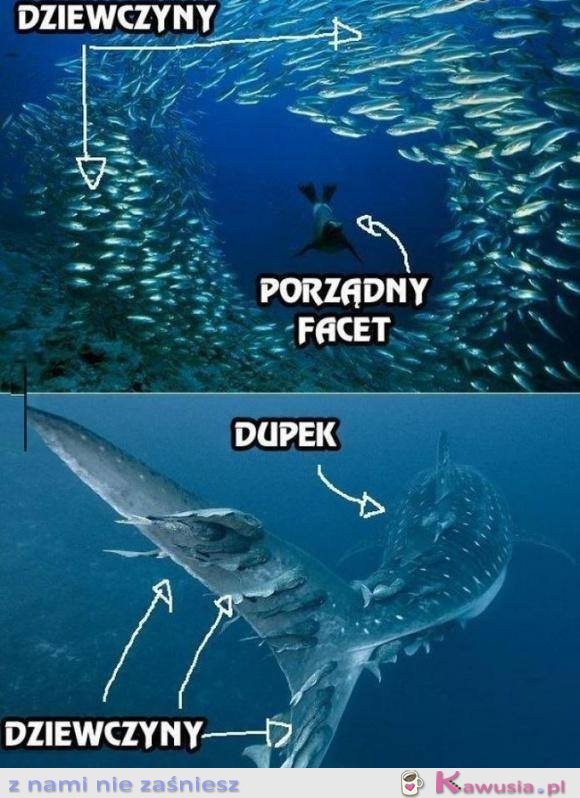 True story