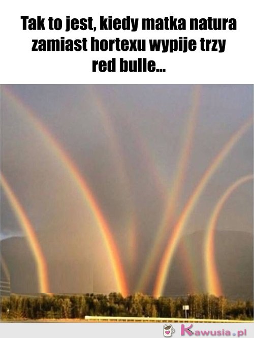 Tak to się kończy..