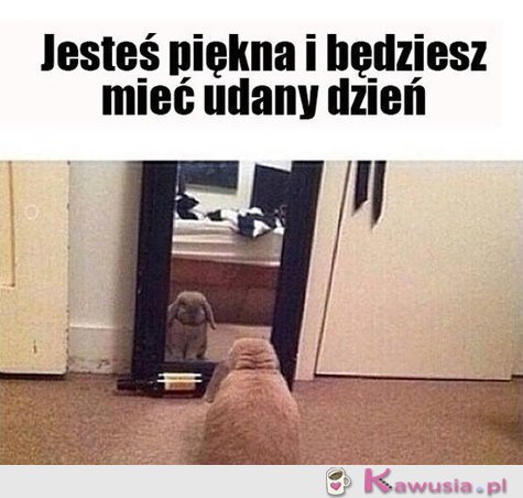 Jesteś piękna