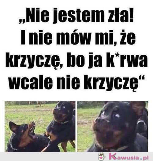 Jestem oazą spokoju