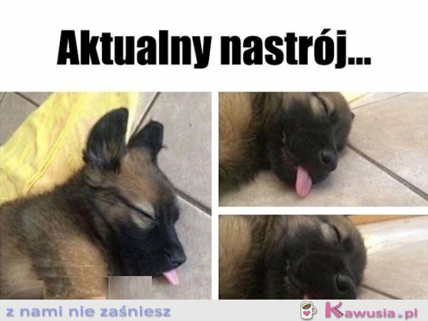 Wręcz poniedziałkowy...