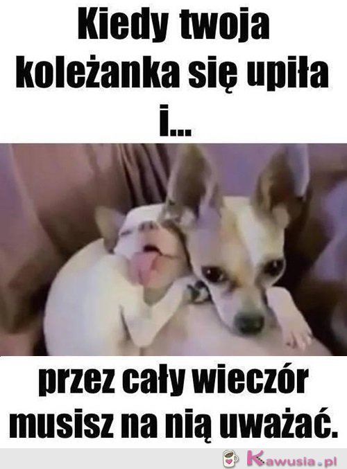 Zaczęło się...