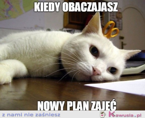 NOWY PLAN ZAJĘĆ