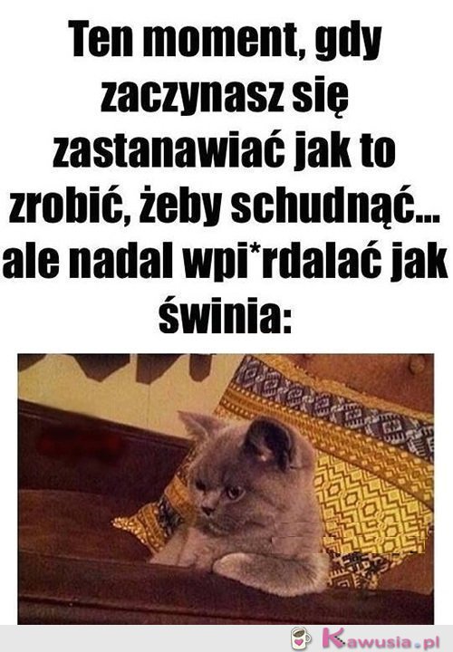 Oto jest pytanie...
