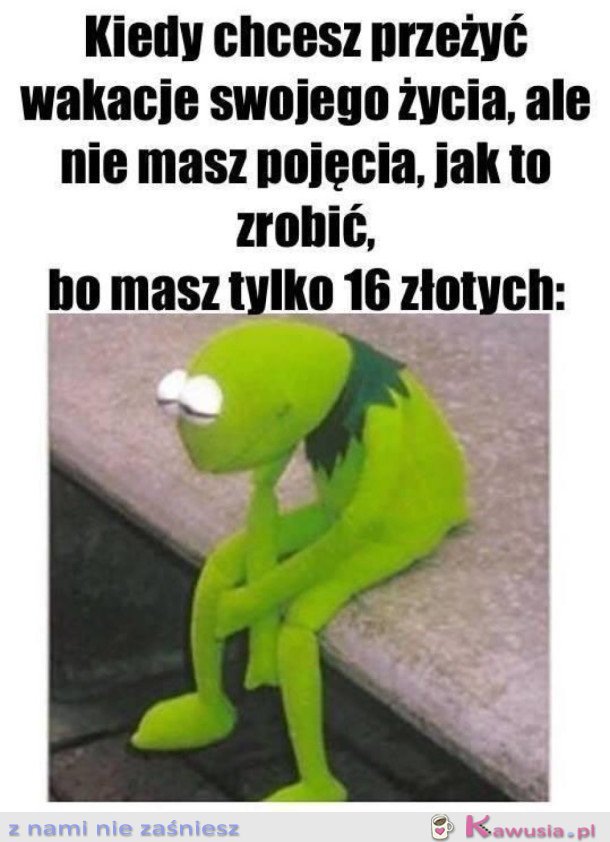 SZALEŃSTWO W WAKACJE