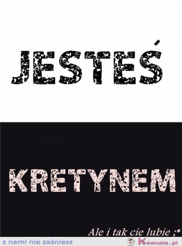 Jesteś kretynem