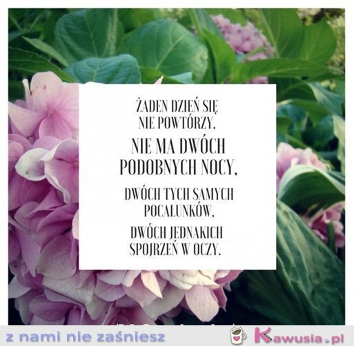 Nic dwa razy...