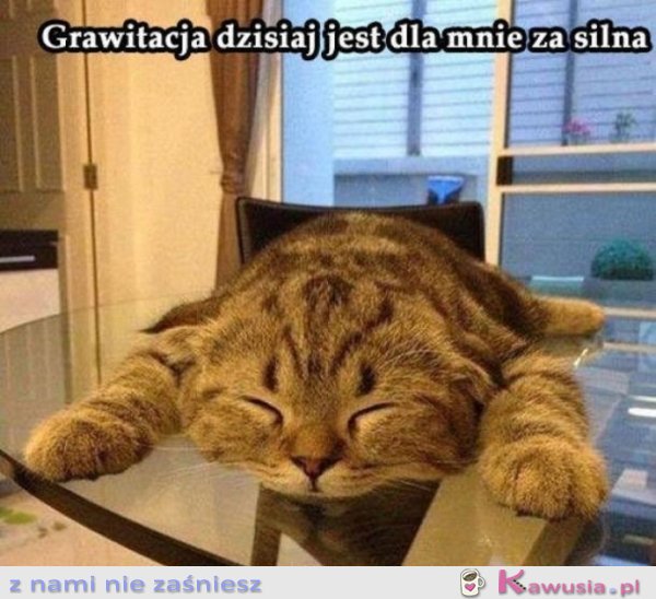 Grawitacja jest dziś dla mnie za silna