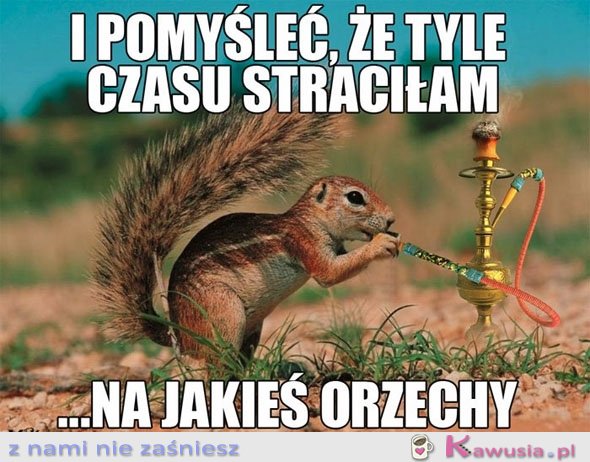 I pomyśleć, że....