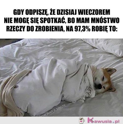 Nie wiem w co ręce włożyć...