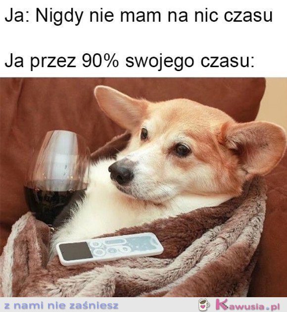 MOJE ŻYCIE