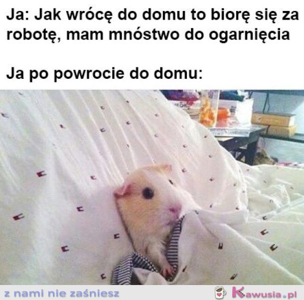 MIAŁAM BYĆ PRODUKTYWNA