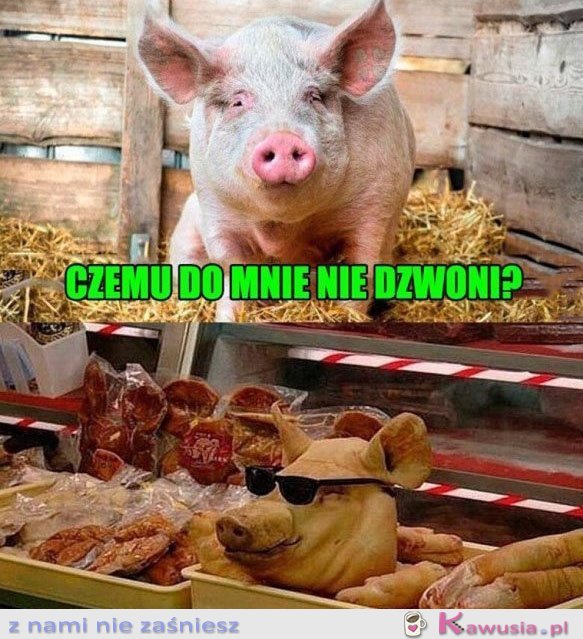 Czemu do mnie nie dzwoni?