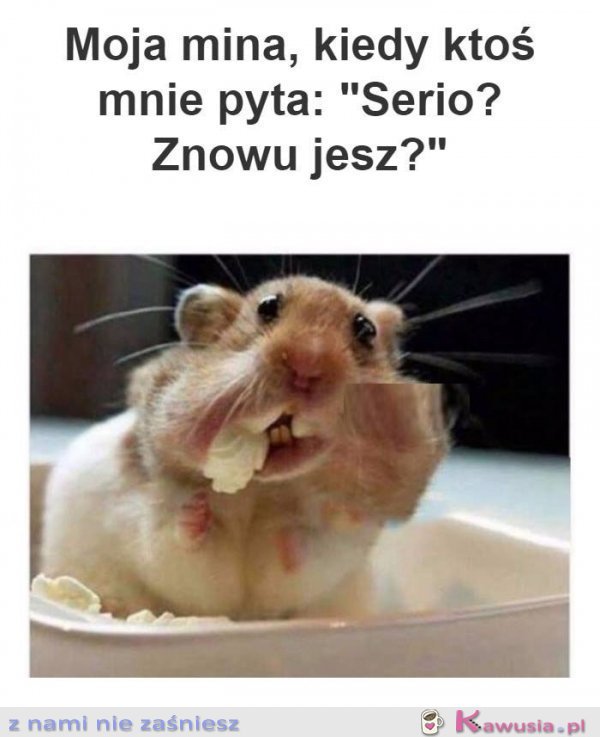 A Ty, znowu jesz