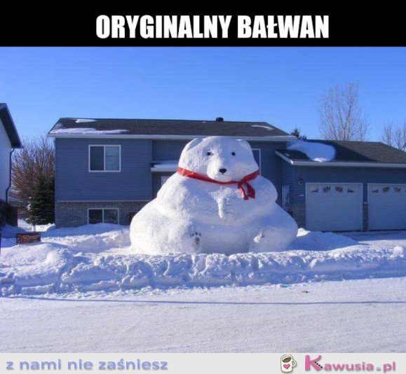 BAŁWAN-MIŚ